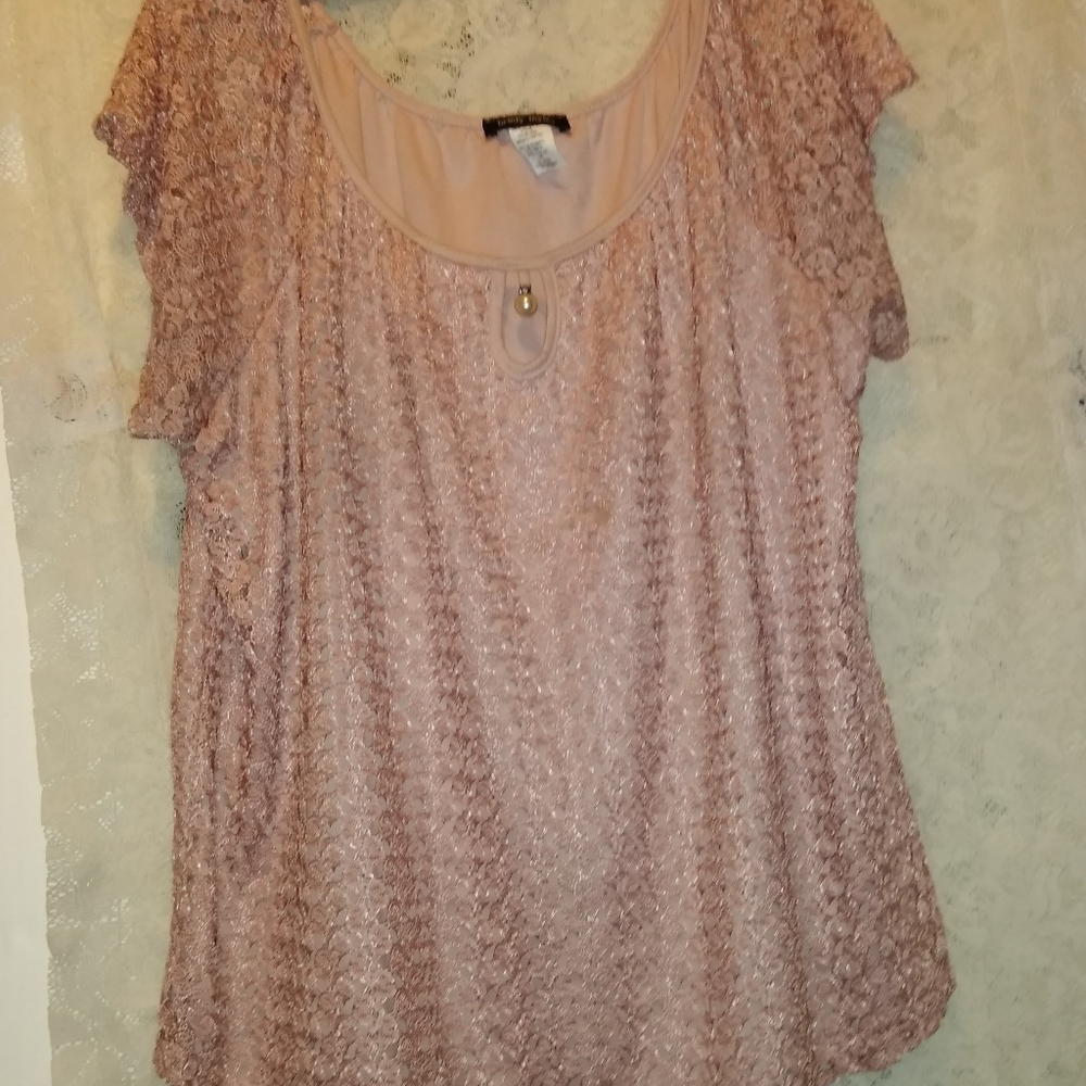 REDUCED Pink Lace Lined Brody Myles Plus SZ 2X Top